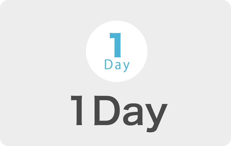 1Day